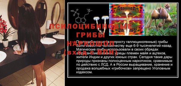 MESCALINE Каменка