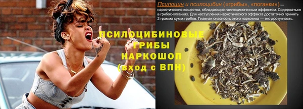 амфетамин Каменногорск