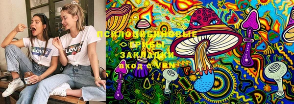 MESCALINE Каменка