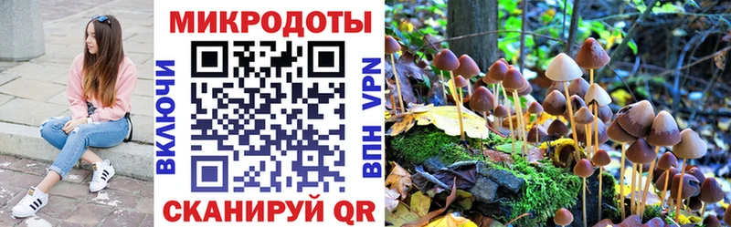 Галлюциногенные грибы Psilocybine cubensis  Купить где  Змеиногорск 